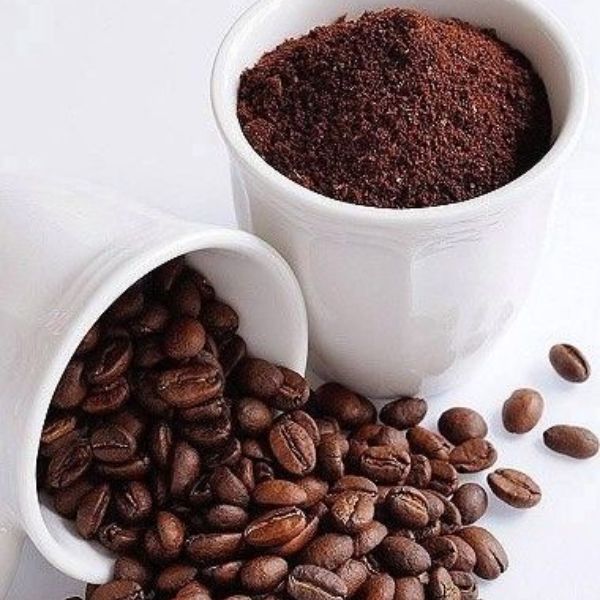 Vietnamese Coffee Culture: The Best Cafés and Unique Brews You Must Try